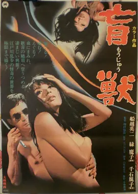 旧胶片之夏